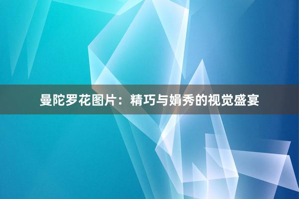 曼陀罗花图片：精巧与娟秀的视觉盛宴