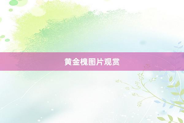 黄金槐图片观赏
